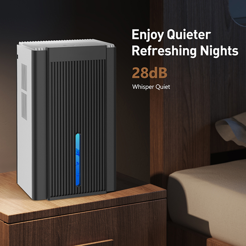 CT11 black and white